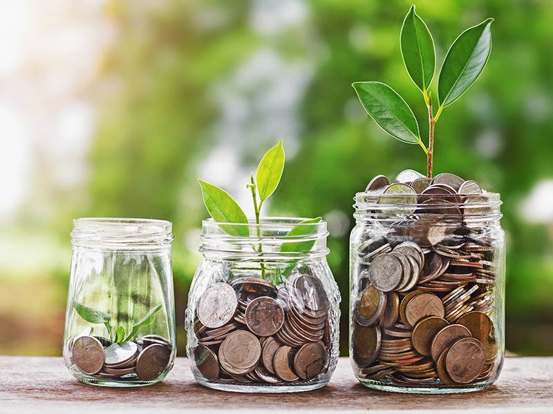 Three jars with a different number of coins in each and plants growing out of each jar